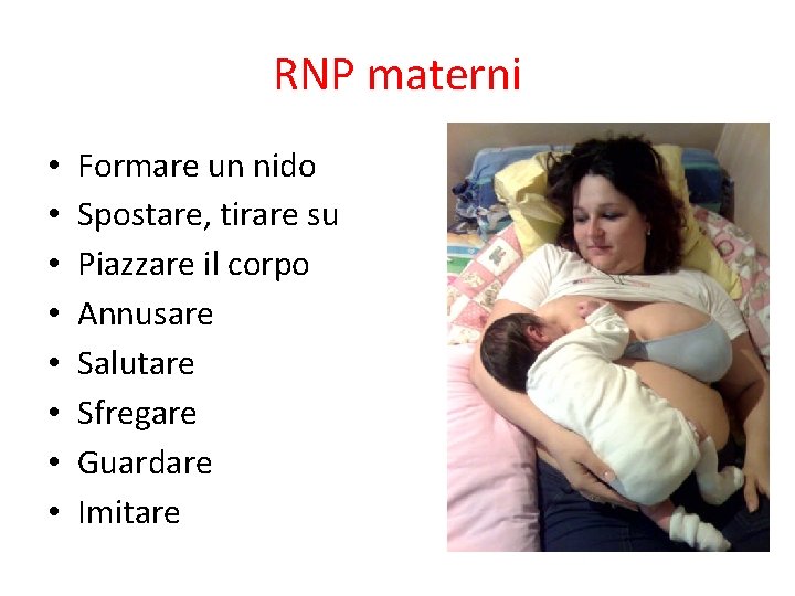 RNP materni • • Formare un nido Spostare, tirare su Piazzare il corpo Annusare RNP materni • • Formare un nido Spostare, tirare su Piazzare il corpo Annusare
