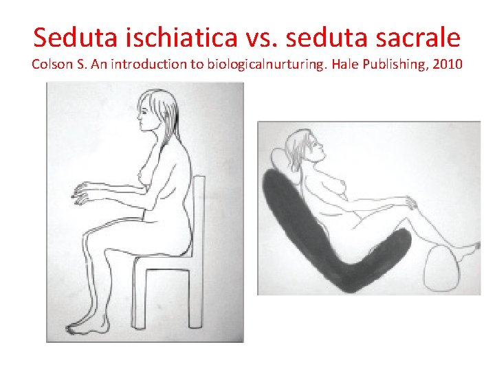 Seduta ischiatica vs. seduta sacrale Colson S. An introduction to biologicalnurturing. Hale Publishing, 2010 Seduta ischiatica vs. seduta sacrale Colson S. An introduction to biologicalnurturing. Hale Publishing, 2010