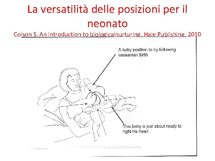 La versatilità delle posizioni per il neonato Colson S. An introduction to biologicalnurturing. Hale La versatilità delle posizioni per il neonato Colson S. An introduction to biologicalnurturing. Hale