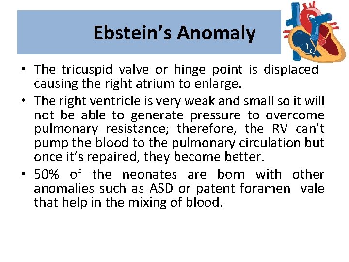 Ebstein’s Anomaly • The tricuspid valve or hinge point is displaced causing the right