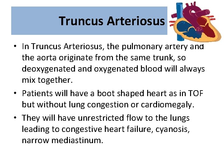 Truncus Arteriosus • In Truncus Arteriosus, the pulmonary artery and the aorta originate from
