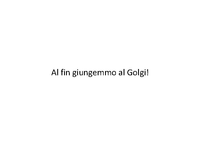 Al fin giungemmo al Golgi! 