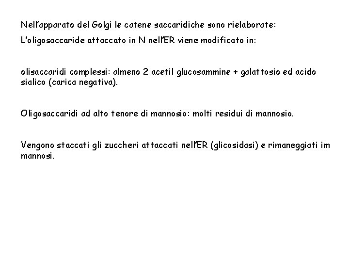 Nell’apparato del Golgi le catene saccaridiche sono rielaborate: L’oligosaccaride attaccato in N nell’ER viene