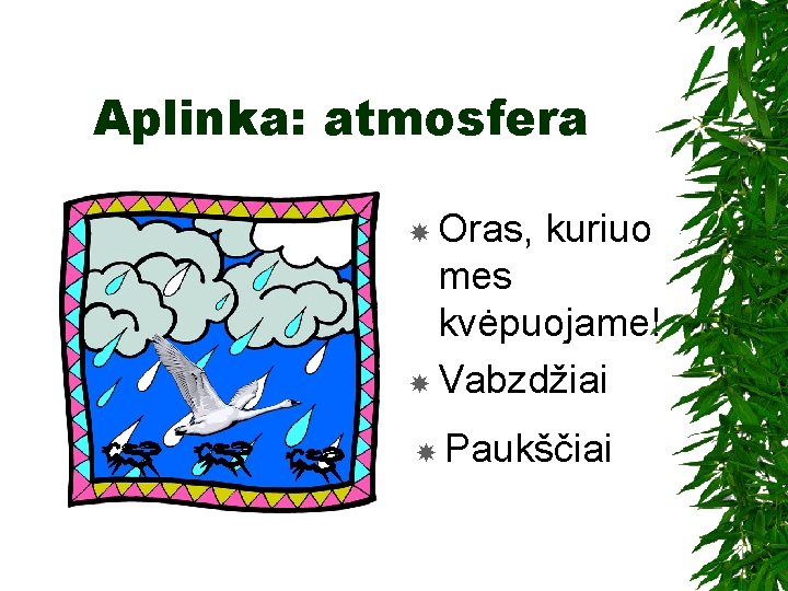 Aplinka: atmosfera Oras, kuriuo mes kvėpuojame! Vabzdžiai Paukščiai 