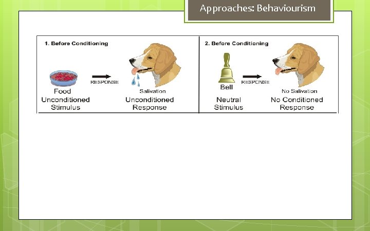 Approaches: Behaviourism 