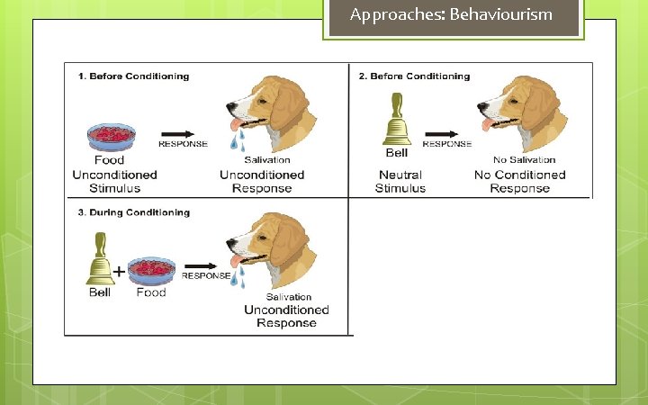 Approaches: Behaviourism 