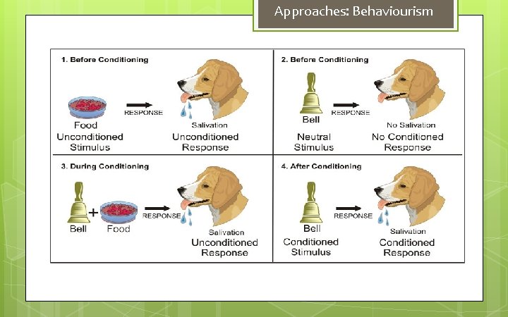 Approaches: Behaviourism 