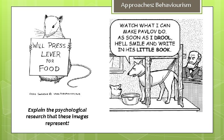 Approaches: Behaviourism Explain the psychological research that these images represent! 