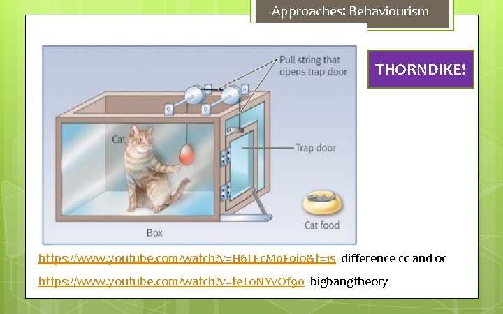 Approaches: Behaviourism THORNDIKE! https: //www. youtube. com/watch? v=H 6 LEc. M 0 E 0