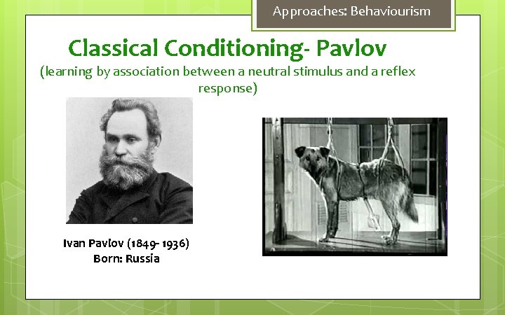 Approaches: Behaviourism Classical Conditioning- Pavlov (learning by association between a neutral stimulus and a