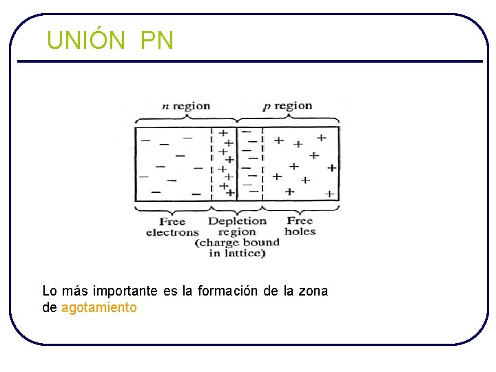 UNIÓN PN Lo más importante es la formación de la zona de agotamiento 