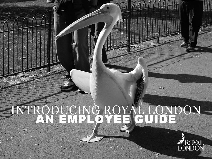 INTRODUCING ROYAL LONDON AN EMPLOYEE GUIDE 1 