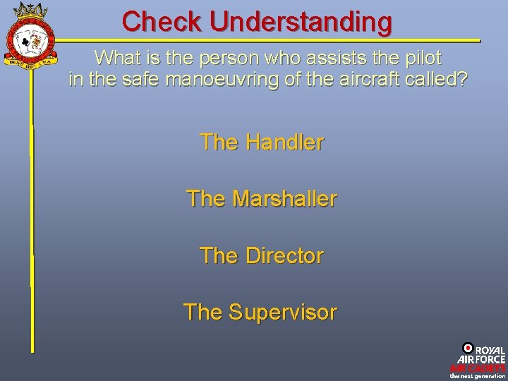 Check Understanding What is the person who assists the pilot in the safe manoeuvring