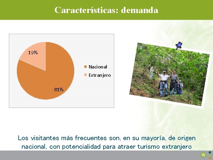 Características: demanda 19% Nacional Extranjero 81% Los visitantes más frecuentes son, en su mayoría,