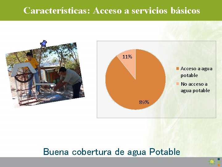 Características: Acceso a servicios básicos 11% Acceso a agua potable No acceso a agua