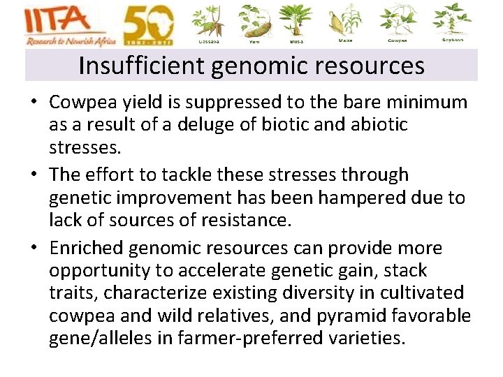 Insufficient genomic resources • Cowpea yield is suppressed to the bare minimum as a Insufficient genomic resources • Cowpea yield is suppressed to the bare minimum as a