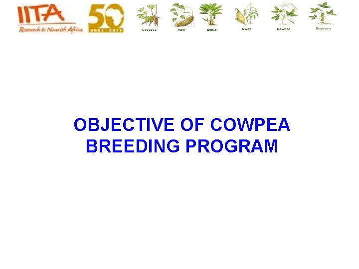 OBJECTIVE OF COWPEA BREEDING PROGRAM OBJECTIVE OF COWPEA BREEDING PROGRAM