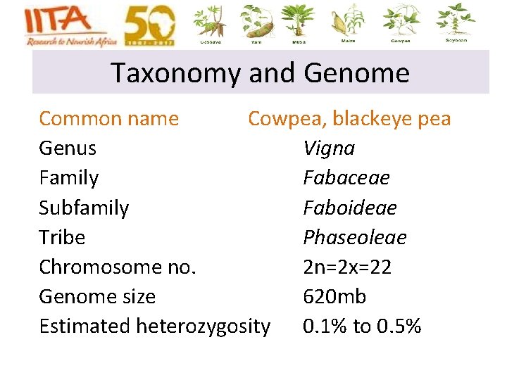 Taxonomy and Genome Common name Cowpea, blackeye pea Genus Vigna Family Fabaceae Subfamily Faboideae Taxonomy and Genome Common name Cowpea, blackeye pea Genus Vigna Family Fabaceae Subfamily Faboideae