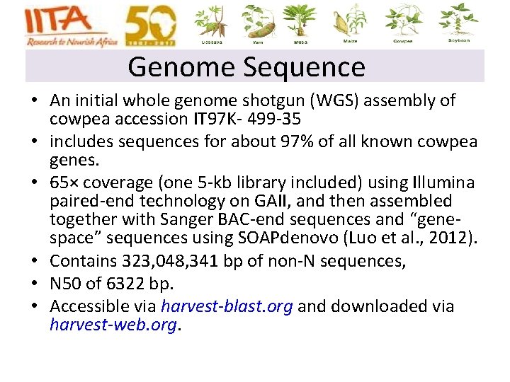 Genome Sequence • An initial whole genome shotgun (WGS) assembly of cowpea accession IT Genome Sequence • An initial whole genome shotgun (WGS) assembly of cowpea accession IT