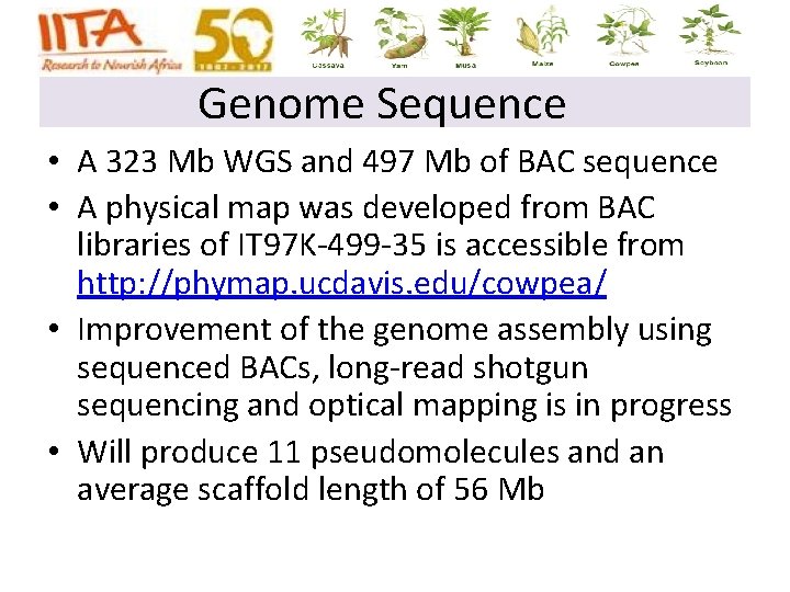 Genome Sequence • A 323 Mb WGS and 497 Mb of BAC sequence • Genome Sequence • A 323 Mb WGS and 497 Mb of BAC sequence •