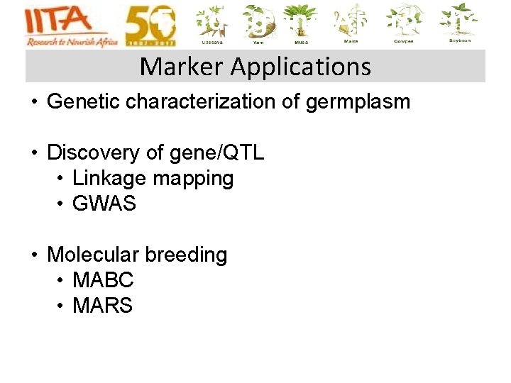 Funding and Approaches Marker Applications • Genetic characterization of germplasm • Discovery of gene/QTL Funding and Approaches Marker Applications • Genetic characterization of germplasm • Discovery of gene/QTL