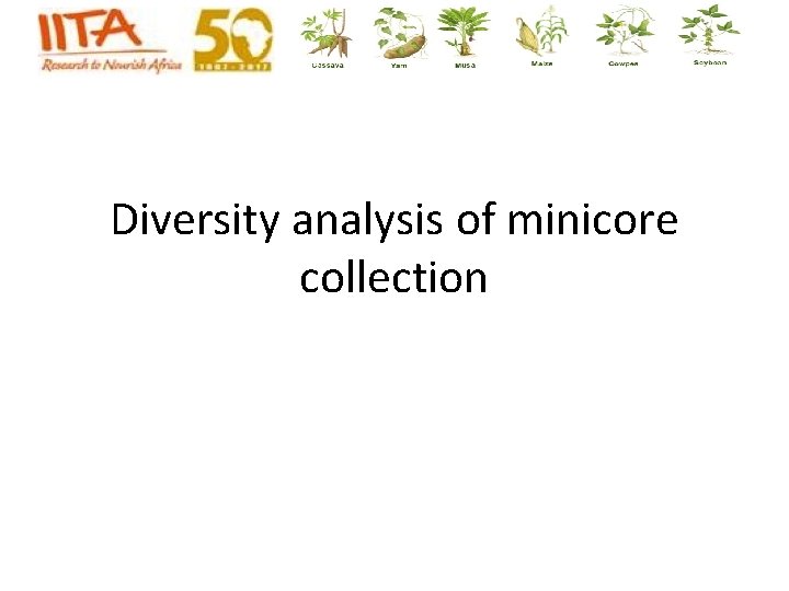 Diversity analysis of minicore collection Diversity analysis of minicore collection
