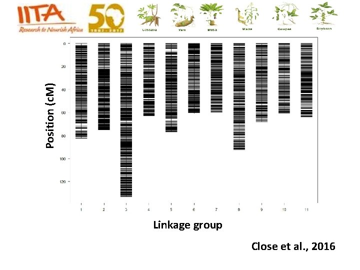 Position (c. M) Consensus map Linkage group Close et al. , 2016 Position (c. M) Consensus map Linkage group Close et al. , 2016