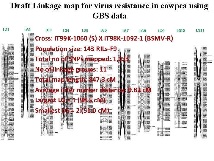 Draft Linkage map for virus resistance in cowpea using GBS data LG 1 LG Draft Linkage map for virus resistance in cowpea using GBS data LG 1 LG