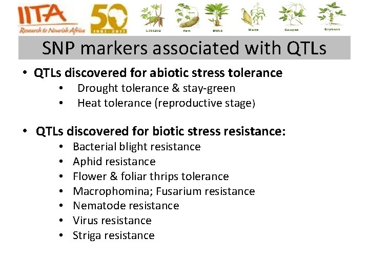 SNP markers associated with QTLs • QTLs discovered for abiotic stress tolerance • • SNP markers associated with QTLs • QTLs discovered for abiotic stress tolerance • •