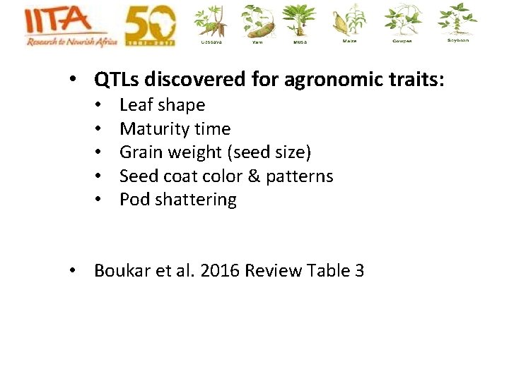 • QTLs discovered for agronomic traits: • • • Leaf shape Maturity time • QTLs discovered for agronomic traits: • • • Leaf shape Maturity time