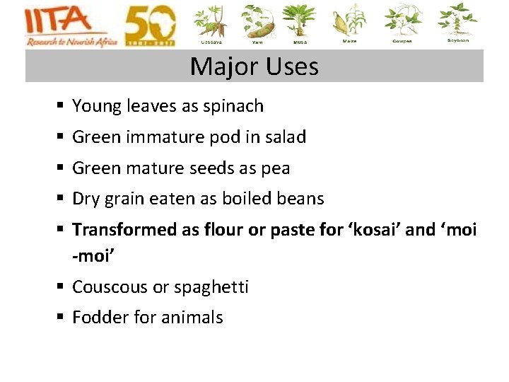 Major Uses § Young leaves as spinach § Green immature pod in salad § Major Uses § Young leaves as spinach § Green immature pod in salad §