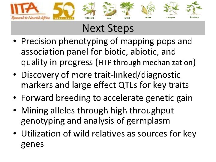 Next Steps • Precision phenotyping of mapping pops and association panel for biotic, and Next Steps • Precision phenotyping of mapping pops and association panel for biotic, and