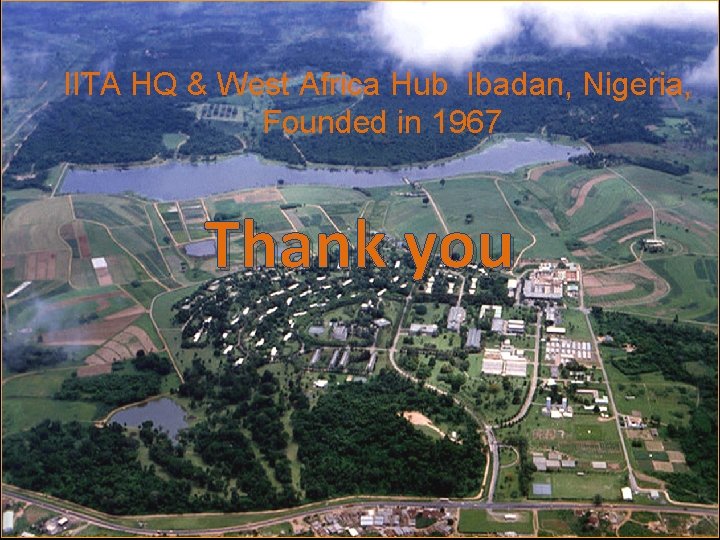 IITA HQ & West Africa Hub Ibadan, Nigeria, Founded in 1967 Thank you IITA HQ & West Africa Hub Ibadan, Nigeria, Founded in 1967 Thank you