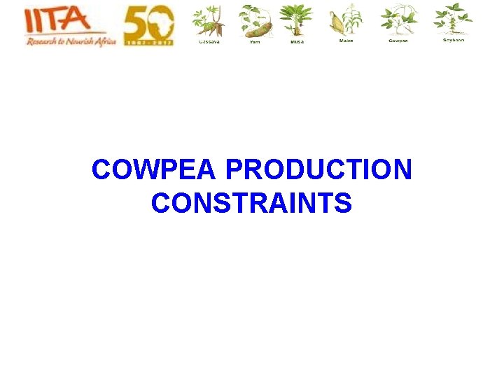 COWPEA PRODUCTION CONSTRAINTS COWPEA PRODUCTION CONSTRAINTS
