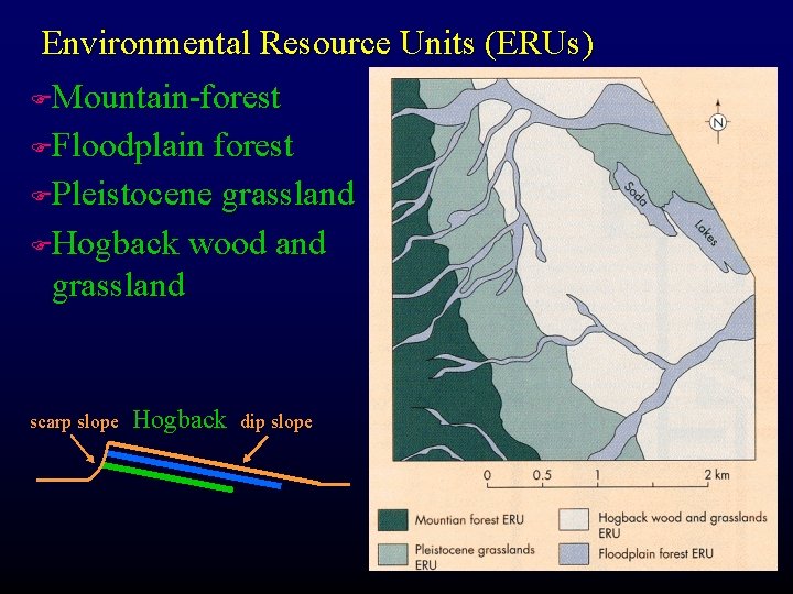 Environmental Resource Units (ERUs) FMountain-forest FFloodplain forest FPleistocene grassland FHogback wood and grassland scarp Environmental Resource Units (ERUs) FMountain-forest FFloodplain forest FPleistocene grassland FHogback wood and grassland scarp