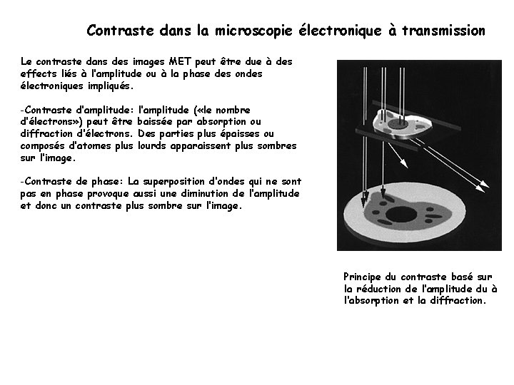 Contraste dans la microscopie électronique à transmission Le contraste dans des images MET peut