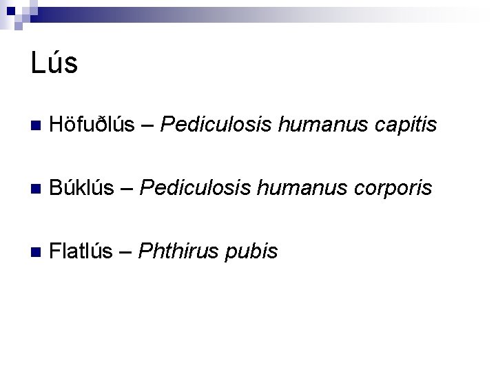 Lús n Höfuðlús – Pediculosis humanus capitis n Búklús – Pediculosis humanus corporis n