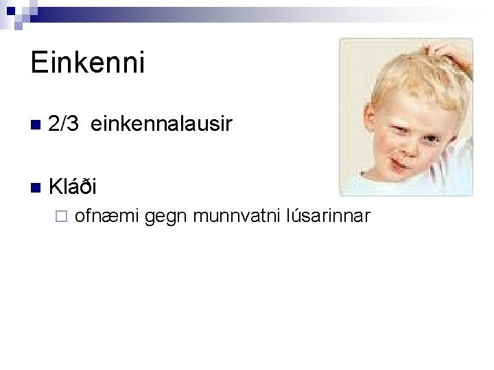 Einkenni n 2/3 einkennalausir n Kláði ¨ ofnæmi gegn munnvatni lúsarinnar 