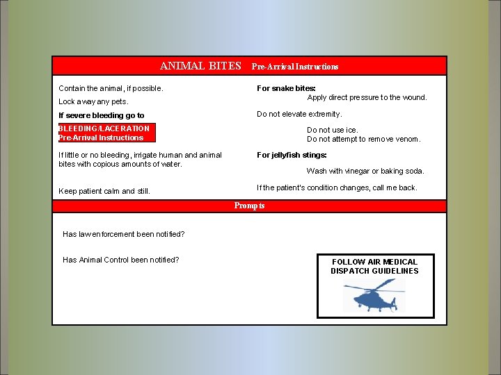 ANIMAL BITES Contain the animal, if possible. Lock away any pets. If severe bleeding