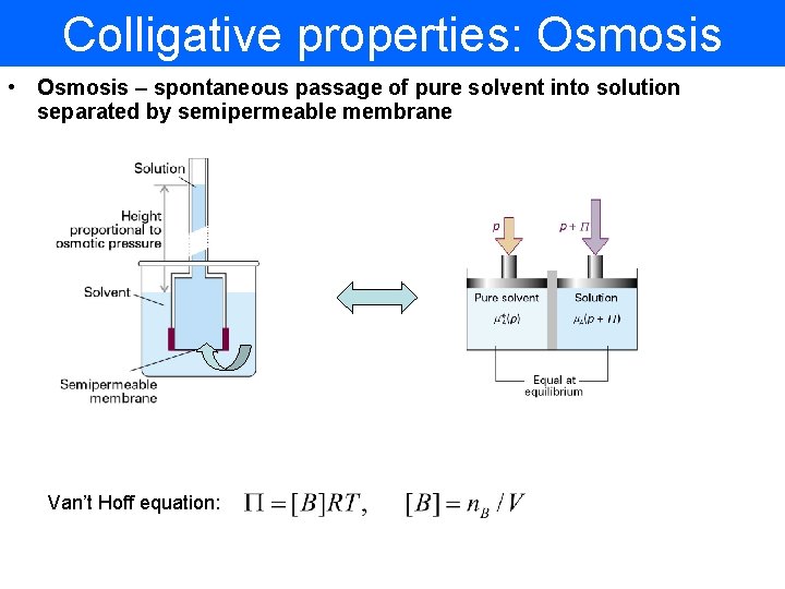 Colligative properties: Osmosis • Osmosis – spontaneous passage of pure solvent into solution separated