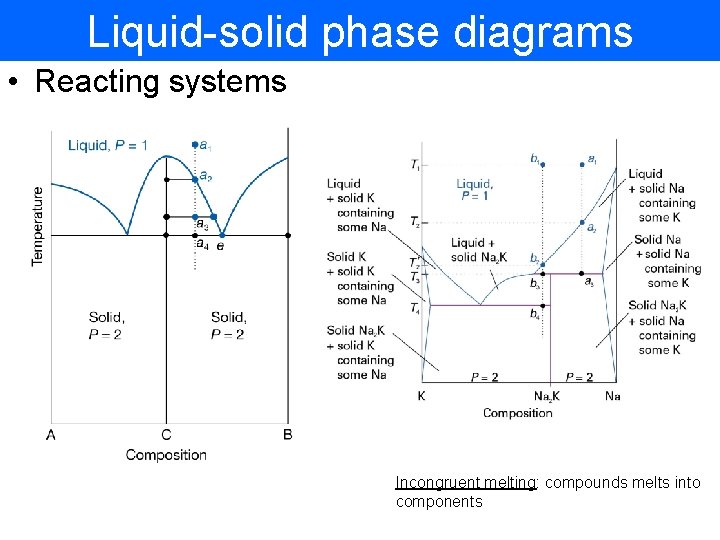 Liquid-solid phase diagrams • Reacting systems Incongruent melting: compounds melts into components 