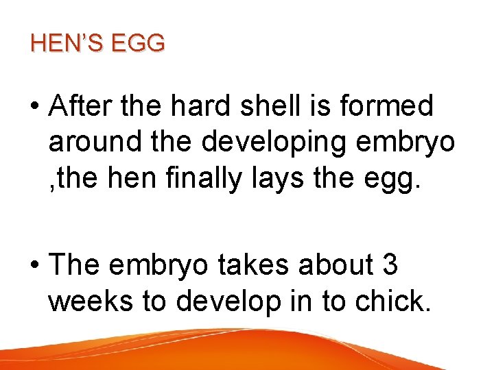 HEN’S EGG • After the hard shell is formed around the developing embryo ,