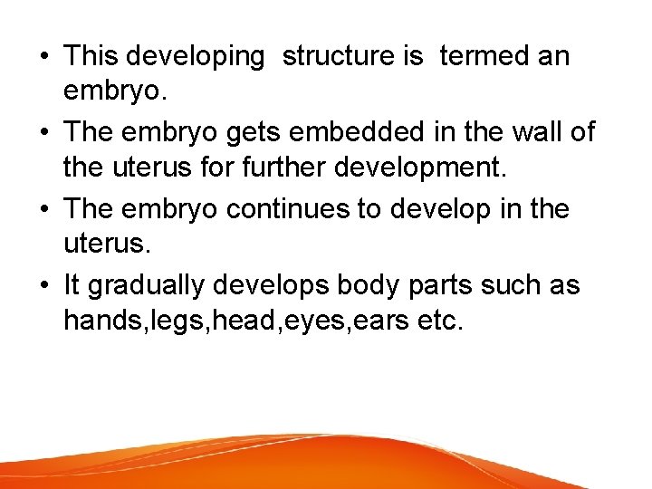  • This developing structure is termed an embryo. • The embryo gets embedded
