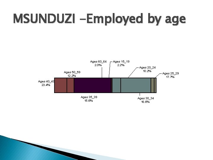 MSUNDUZI -Employed by age Ages 60_64 2. 0% Ages 50_59 12. 2% Ages 15_19