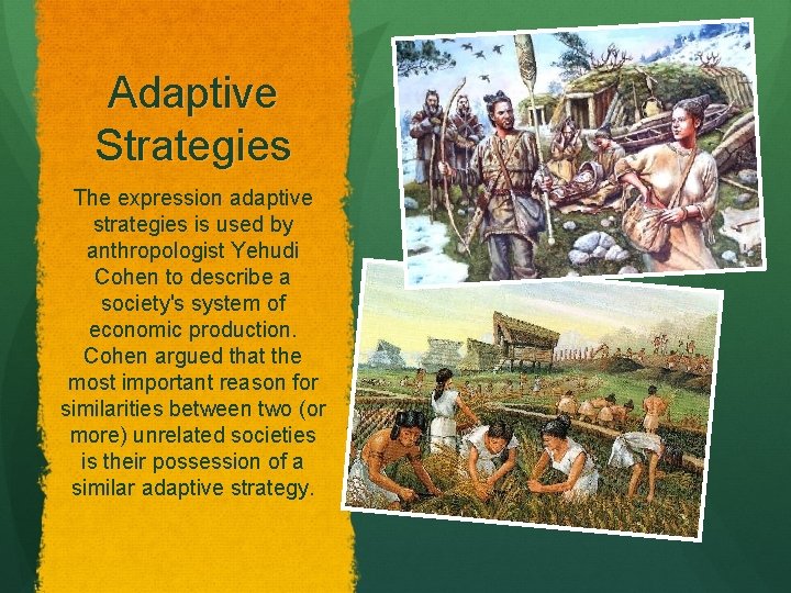 Adaptive Strategies The expression adaptive strategies is used by anthropologist Yehudi Cohen to describe