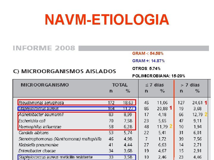 NAVM-ETIOLOGIA GRAM -: 54. 58% GRAM +: 14. 87% OTROS: 5. 74% POLIMICROBIANA: 15