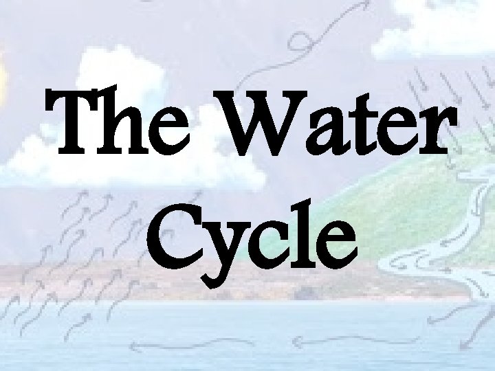 The Water Cycle 