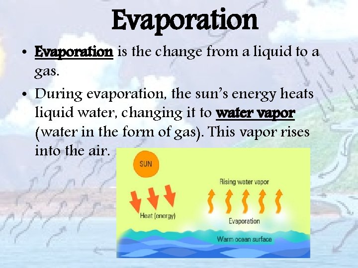 Evaporation • Evaporation is the change from a liquid to a gas. • During