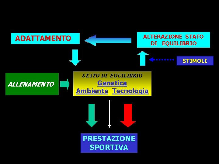 ALTERAZIONE STATO DI EQUILIBRIO ADATTAMENTO STIMOLI STATO DI EQUILIBRIO ALLENAMENTO Genetica Ambiente Tecnologia PRESTAZIONE