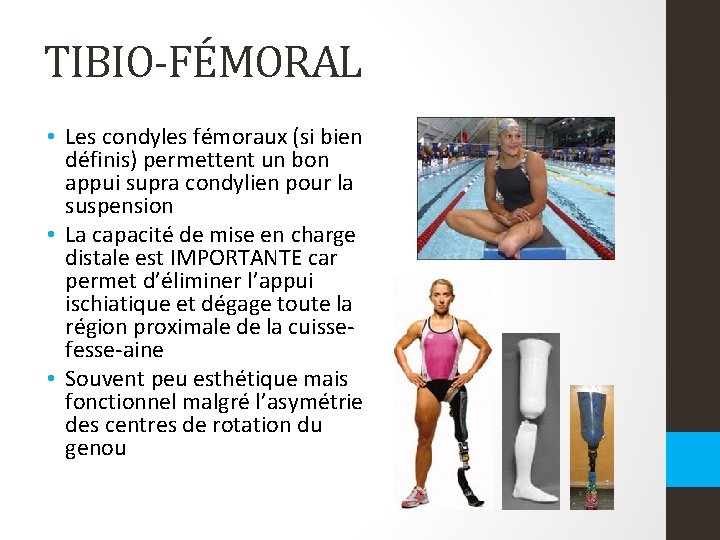 TIBIO-FÉMORAL • Les condyles fémoraux (si bien définis) permettent un bon appui supra condylien TIBIO-FÉMORAL • Les condyles fémoraux (si bien définis) permettent un bon appui supra condylien